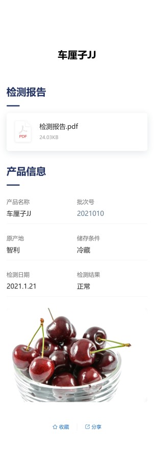 检测报告预览图