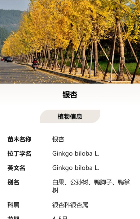 苗木树牌