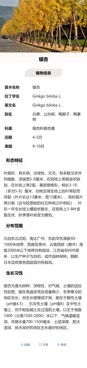 苗木树牌预览图