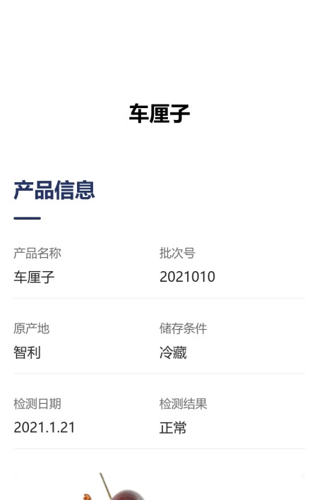 检测报告