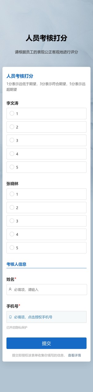 考核评分预览图