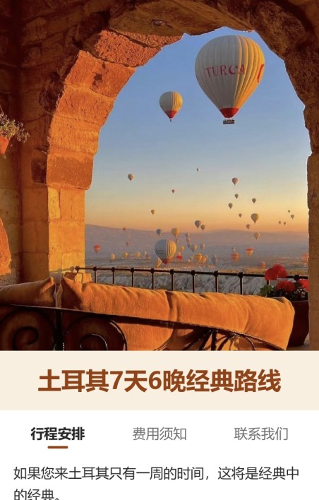 国际旅游行程及说明