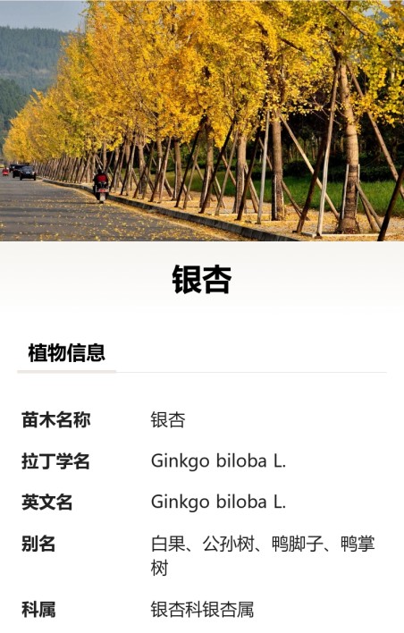 苗木树牌