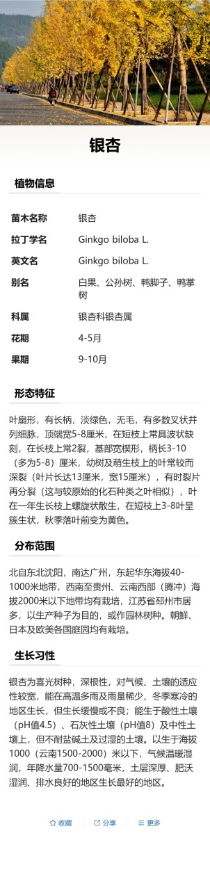 苗木树牌预览图