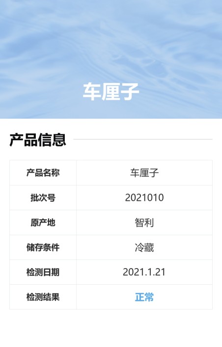 检测报告
