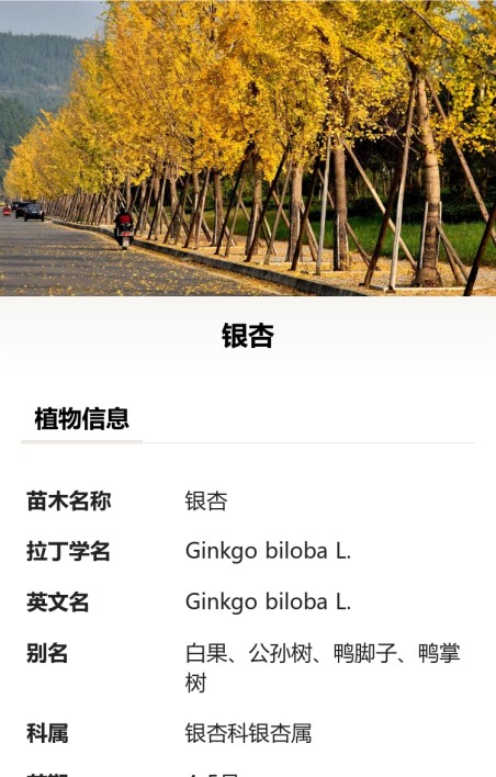 苗木树牌