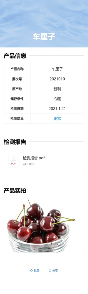 检测报告预览图