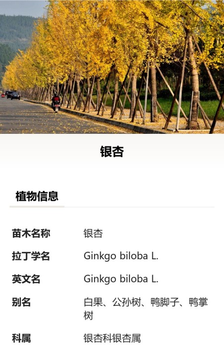 苗木树牌
