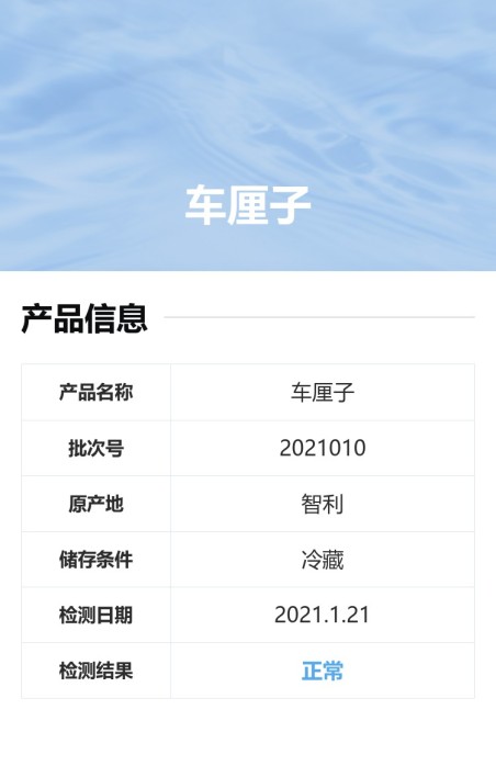 检测报告