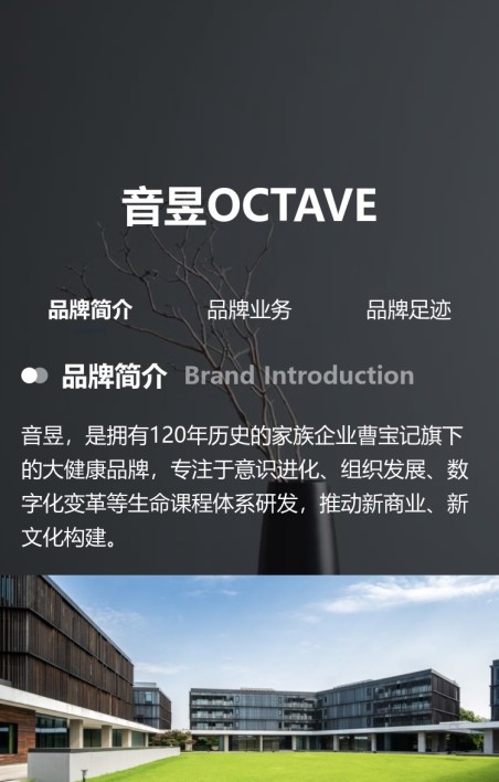 品牌介绍