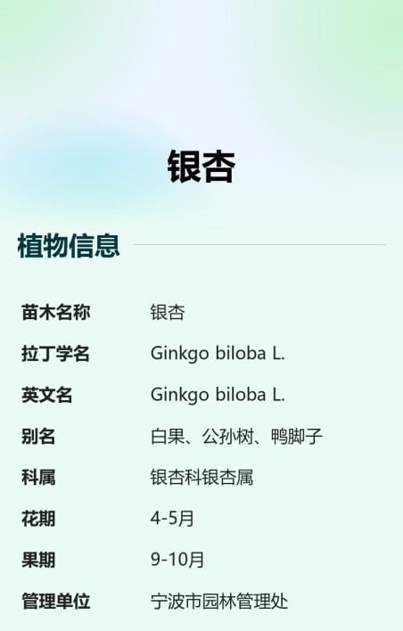 苗木树牌