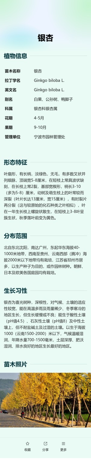 苗木树牌预览图