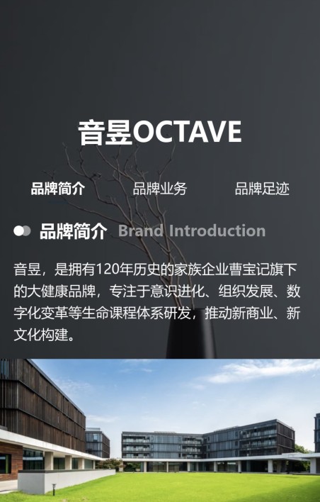 品牌介绍