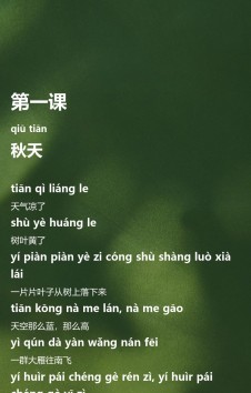 模板预览图