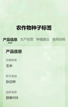 模板预览图