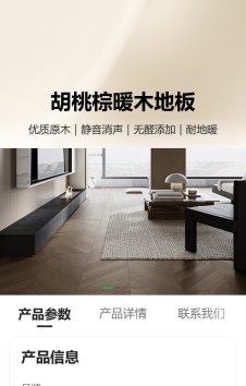模板预览图