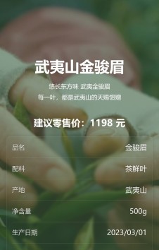模板预览图