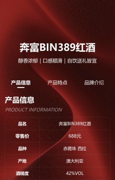 模板预览图
