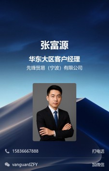 模板预览图