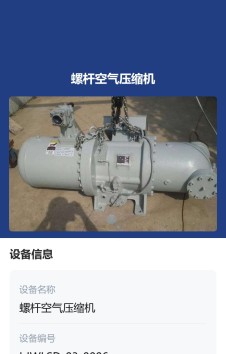 模板预览图