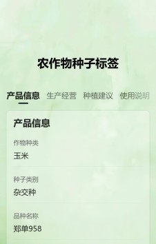 模板预览图