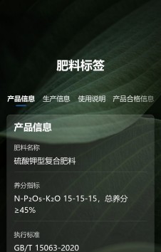 模板预览图