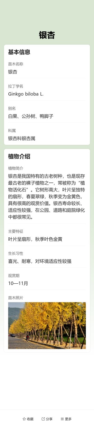 苗木树牌预览图