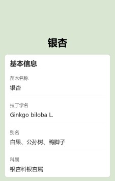 模板预览图