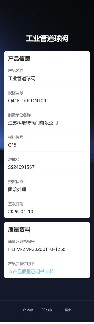 工业管道元件溯源信息预览图