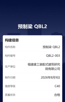 模板预览图