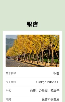 模板预览图