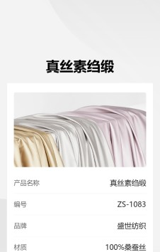 模板预览图