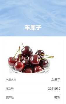 模板预览图