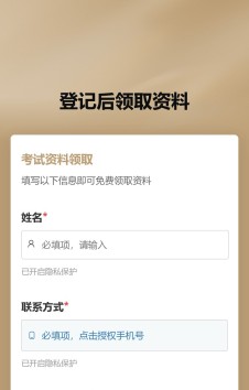 模板预览图