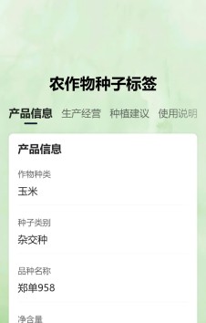 模板预览图
