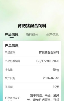 模板预览图