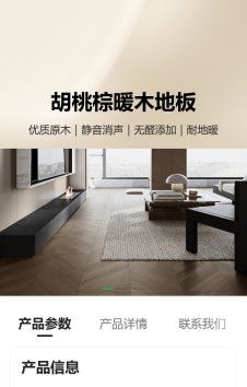 模板预览图