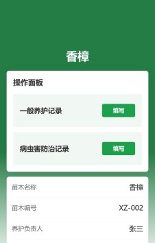 模板预览图