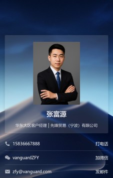 模板预览图