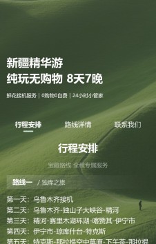 模板预览图