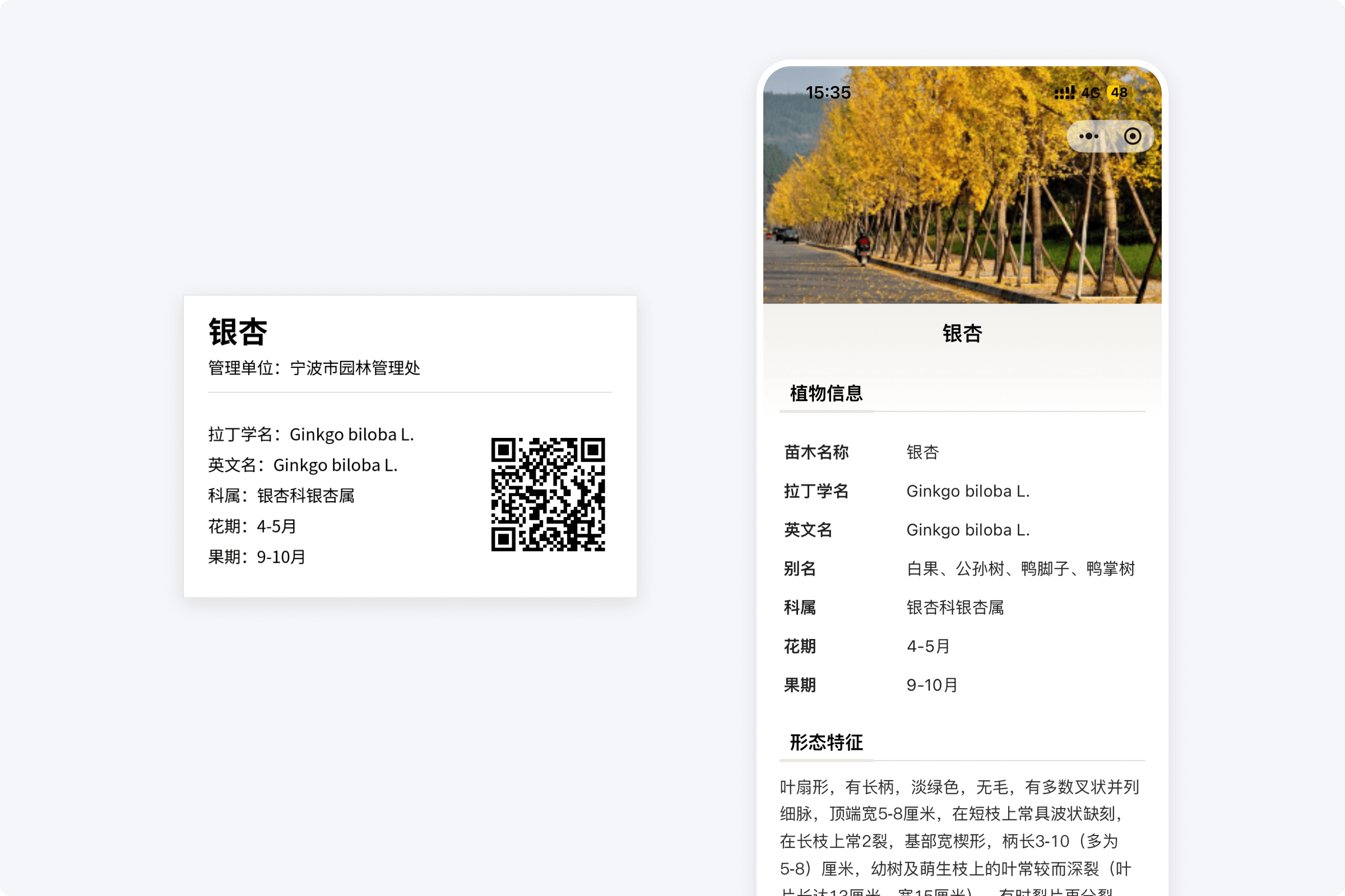 牌面放关键信息，其余内容进码里