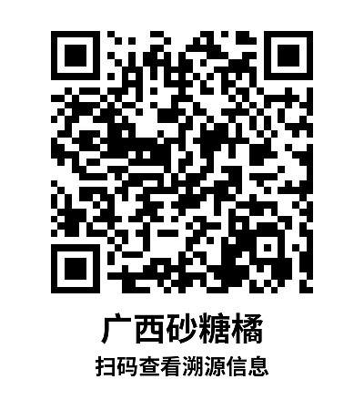 简单标签