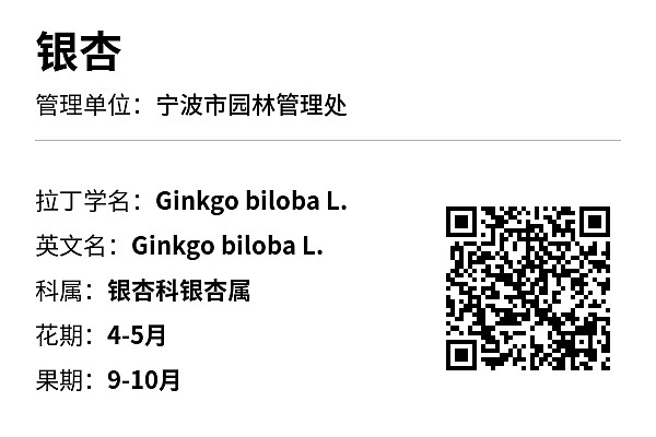 资产标签