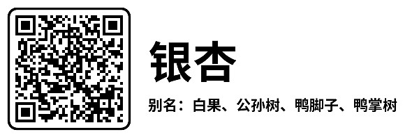 横版7