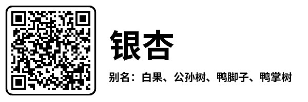 横版7