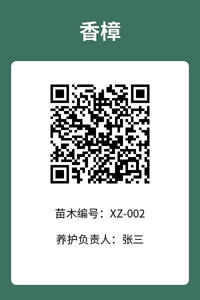 竖版4