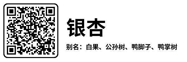 横版7