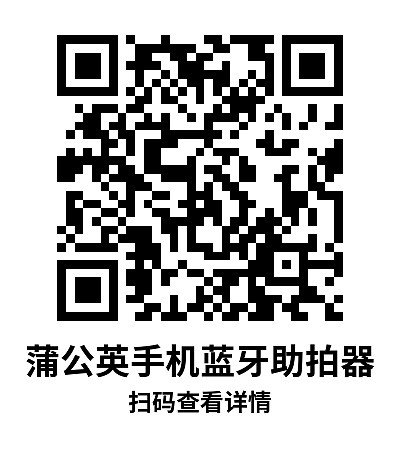 简单标签