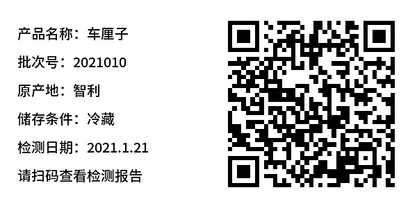 简单标签