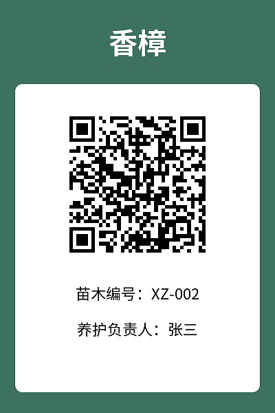 竖版4